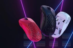 Mua-chuot-may-tinh-1