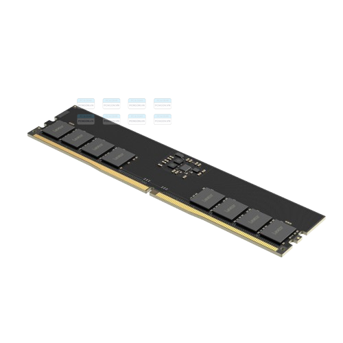 Ram Pc Lexar 16gb U-dimm Ddr5 Bus 5600 Mhz 3