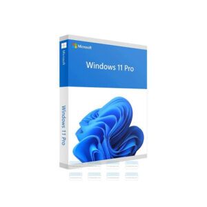 Phần Mềm Windows 11 Pro 64-bit All Lng Pk Lic Online Dwnld Nr Fqc-10572 (key điện Tử) 1